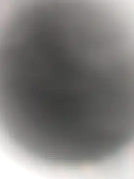 Necroforo online show from 02/14/26, 08:49