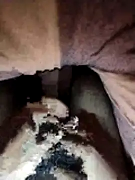 hotavikboy12345 online show from 12/05/25, 04:25