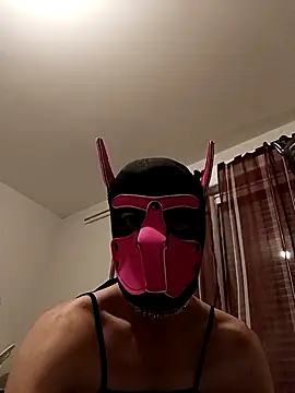 Snapshot of Puppydog33 chatting on 10/29/25, 08:54 Puppydog33 online show from 10/29/25, 08:54