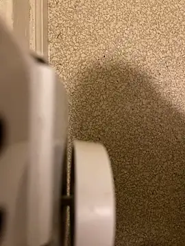 Pedro98801 online show from 12/18/25, 03:56