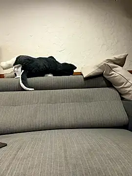 black xun online show from 01/16/26, 02:32