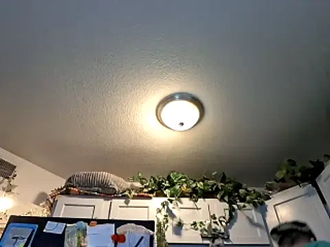 WWGD69 online show from 03/03/26, 02:28