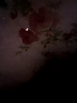 SummerArthur online show from 09/30/25, 09:09