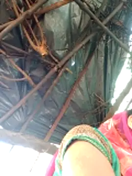 H seema online show from 04/12/26, 02:27