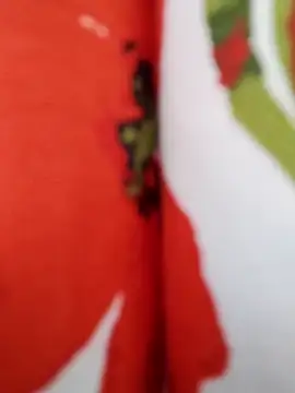  tetas 92 online show from 04/20/26, 03:59