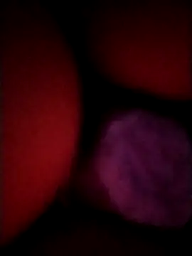  tetas 92 online show from 04/21/26, 01:53