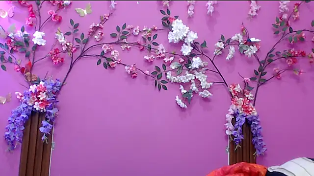 skinnysofia18 online show from 12/01/25, 01:16