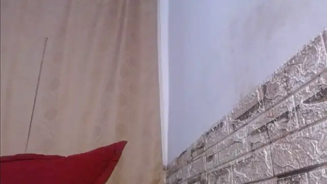 Bicky 24 online show from 05/26/26, 08:54