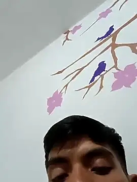 Snapshot of DavidVergagigante420 chatting on 10/29/25, 05:20 DavidVergagigante420 online show from 10/29/25, 05:20