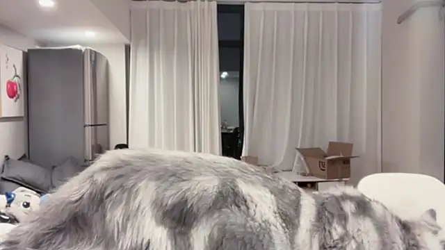 Snapshot of ZhaoZhao-ZM chatting on 10/11/25, 02:15 ZhaoZhao-ZM online show from 10/11/25, 02:15