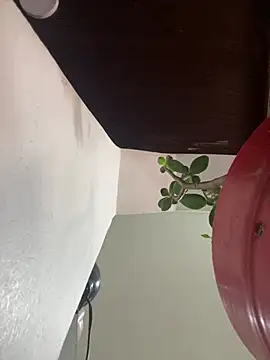 XBODTRIIPX online show from 03/21/26, 04:10