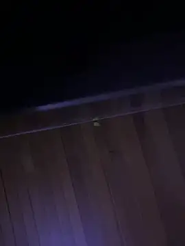 XBODTRIIPX online show from 04/07/26, 11:15