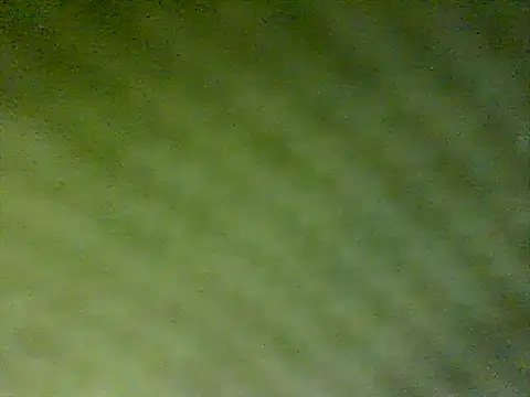 Snapshot of honestglacier9 chatting on 10/17/25, 07:27 honestglacier9 online show from 10/17/25, 07:27