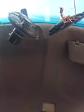 Ghkjccvk online show from 02/20/26, 03:34