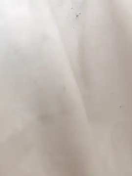 Snapshot of mecchauddu14 chatting on 09/14/25, 12:37 mecchauddu14 online show from 09/14/25, 12:37