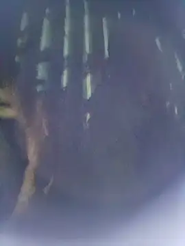 8133vaibhavh online show from 10/09/25, 02:48