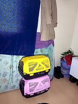 Snapshot of kittymutant99 chatting on 12/22/25, 08:39 kittymutant99 online show from 12/22/25, 08:39