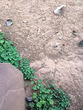 Snapshot of Ag_punam chatting on 02/10/26, 02:15 Ag punam online show from 02/10/26, 02:15