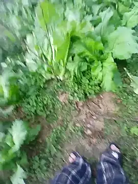 kemtuoi-sex online show from 01/17/26, 10:31