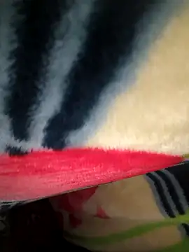 Chanderi19 online show from 04/19/26, 04:50