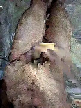 Snapshot of ash706339 chatting on 09/19/25, 06:52 ash706339 online show from 09/19/25, 06:52