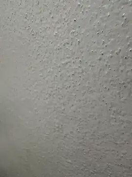 Wild-Nayra online show from 10/04/25, 01:36