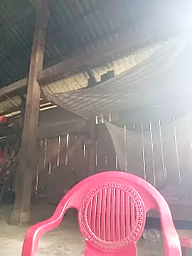 riso-00 online show from 10/21/25, 05:08