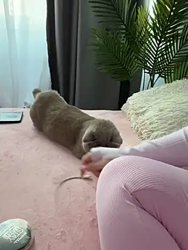 Andrestarr online show from 03/14/26, 02:55