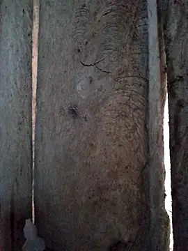 bonnie-00 online show from 10/29/25, 11:28