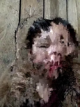 bonnie-00 online show from 11/15/25, 11:40