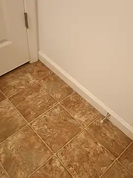 Dotado901xh online show from 04/13/26, 03:23