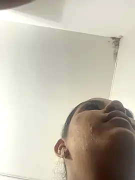 SienaWild online show from 11/26/25, 03:18