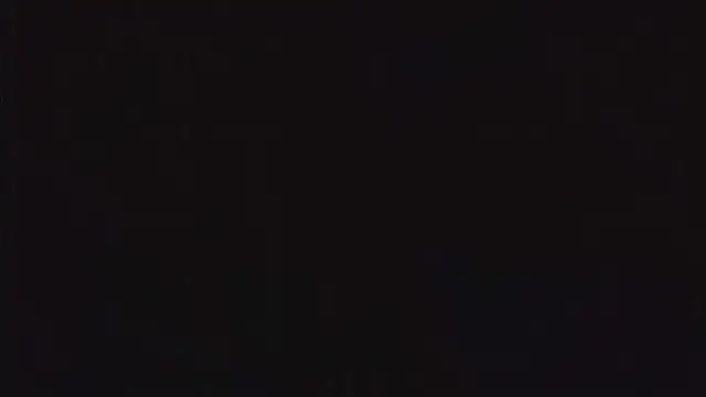 SienaWild online show from 12/22/25, 05:32