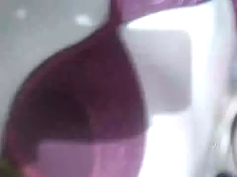 Cachorrinha2025 online show from 09/21/25, 07:54