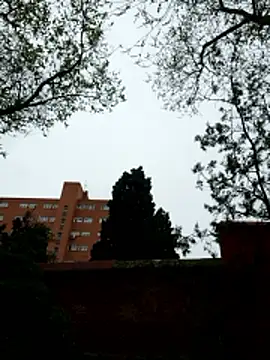 Snapshot of oliver_sanders chatting on 03/09/26, 08:29 oliver sanders online show from 03/09/26, 08:29