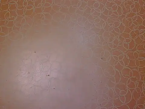 soniya babby online show from 11/23/25, 04:01