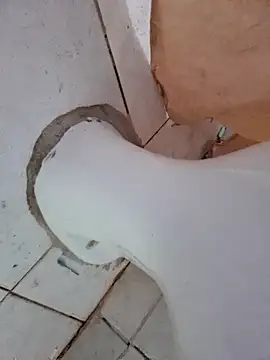 negaa25 online show from 10/12/25, 11:42