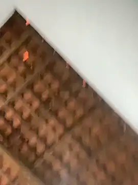 Milenvs online show from 03/05/26, 12:23