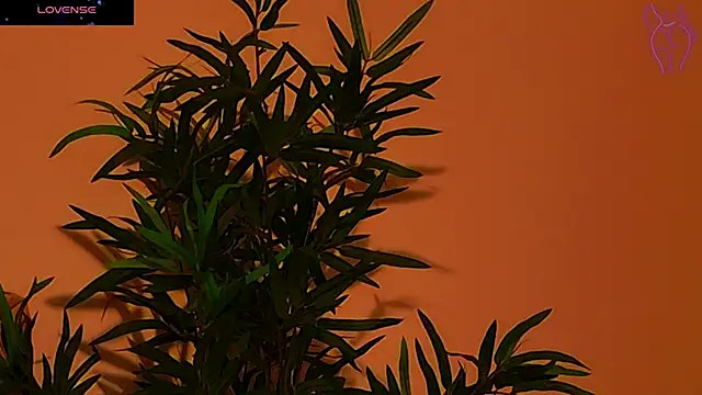 CoraVex online show from 09/26/25, 04:27