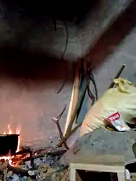 donna-bae online show from 03/22/26, 11:19