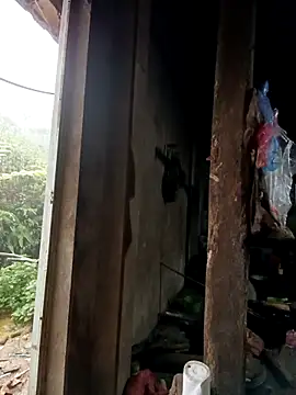 tulipsexy online show from 10/16/25, 12:44