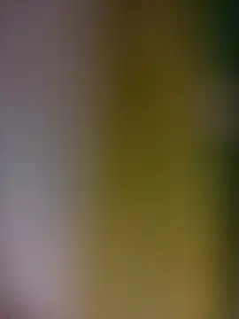 tulipsexy online show from 02/19/26, 03:35