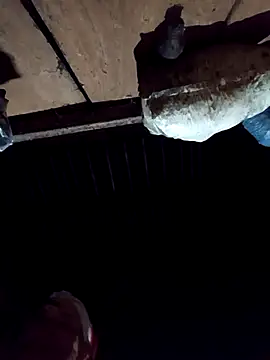 callistra online show from 12/02/25, 02:56