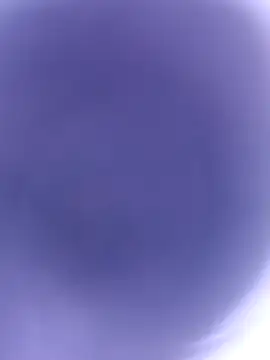 pussybebi online show from 02/22/26, 10:58