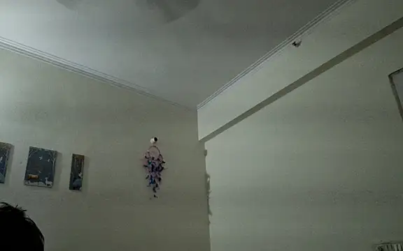 Aasmaan69Aranya online show from 04/01/26, 09:56