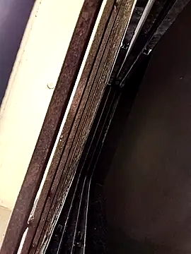 ipvk online show from 03/25/26, 05:13