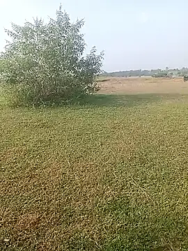 AgitatedStrip9 online show from 10/01/25, 02:17