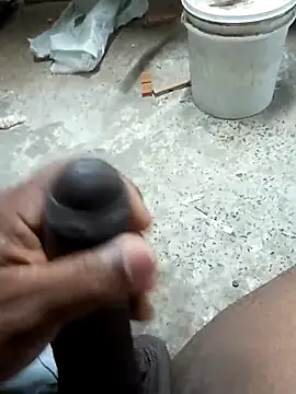 preto3561 online show from 03/04/26, 04:46