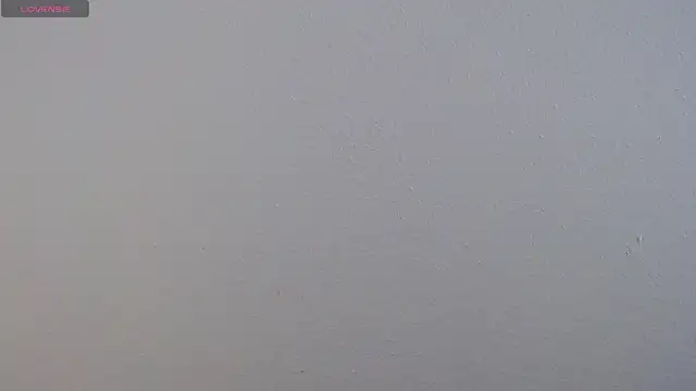 Camila Torresss online show from 12/01/25, 07:19