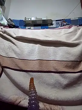 calntt28 online show from 02/12/26, 02:12